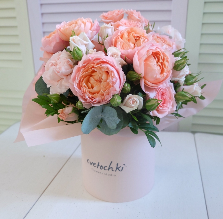 Пионовая роза Джульетта