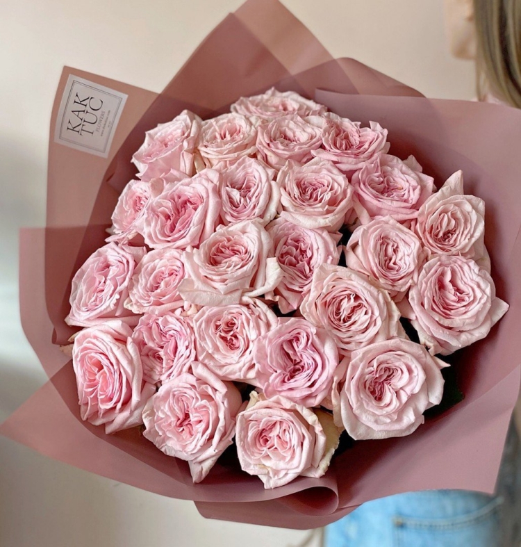 Роза Пинк Охара