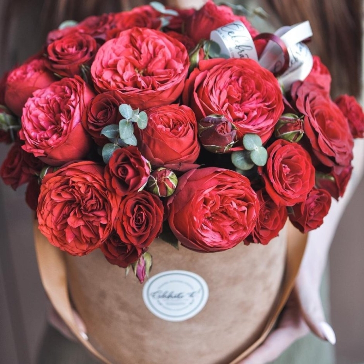 Роза пионовидная Сара