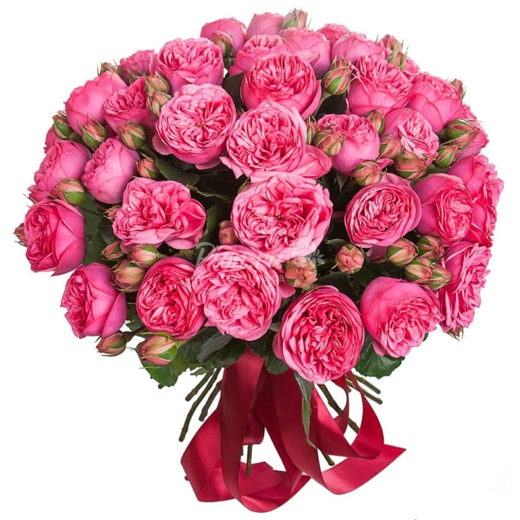 Роза кустовая пионовидная