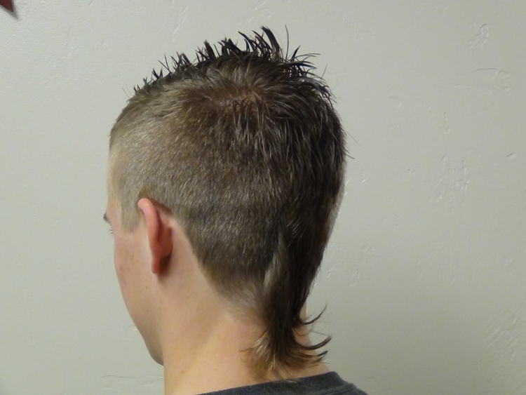 Мужские прически 2022 верх-Ежик, сзади удлиненные волосы