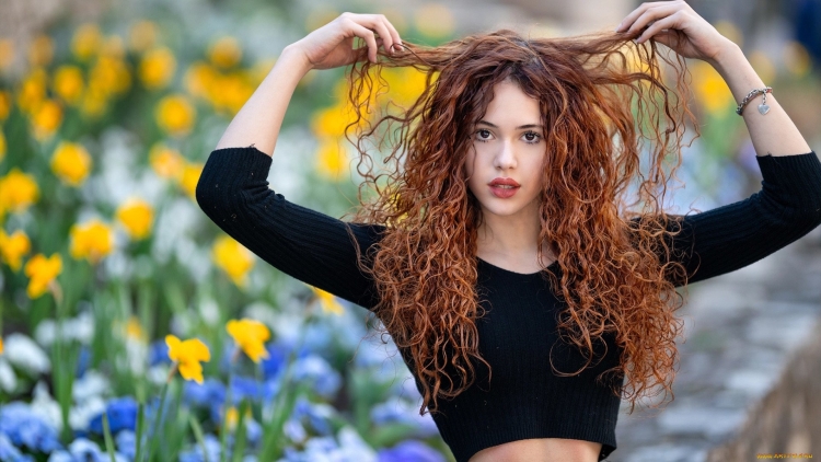 Кудрявая Клара