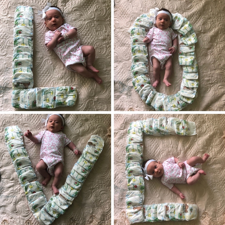 Фотосессия рртенка по месяцам