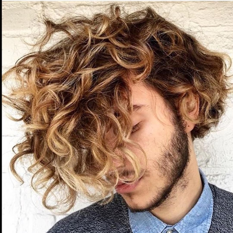 Мужское мелирование на кудрявые волосы