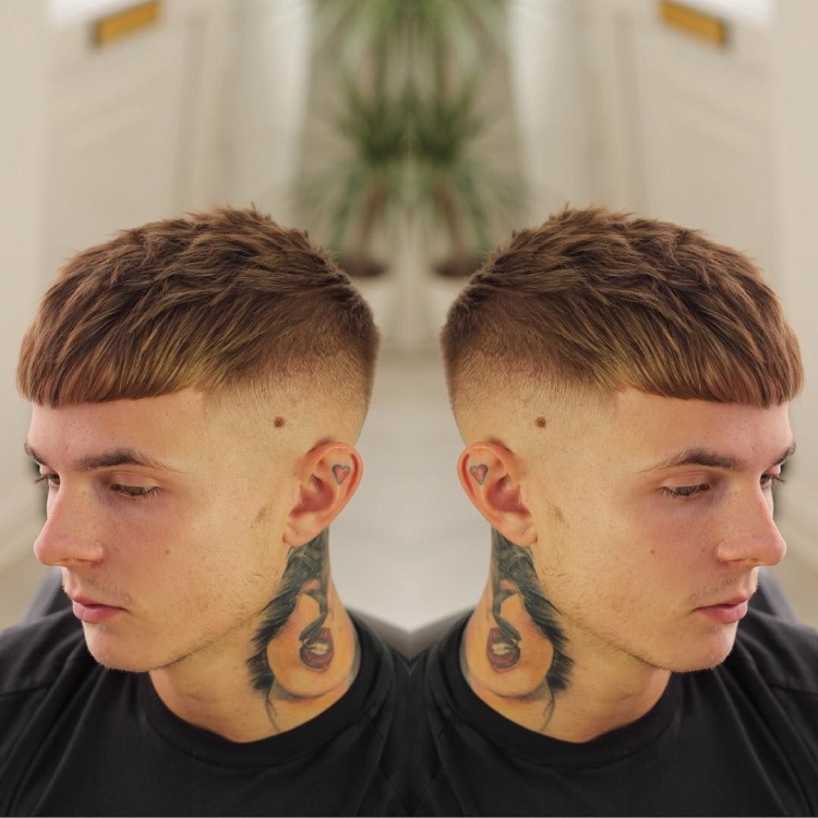 Моргенштерн кроп