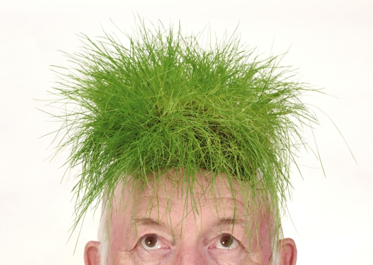 Голова трава