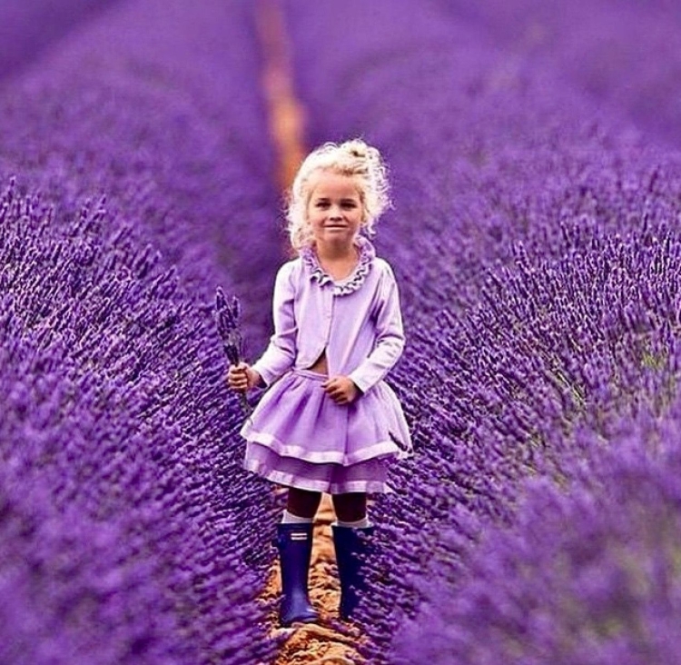 Фиолетовый цвет для детей