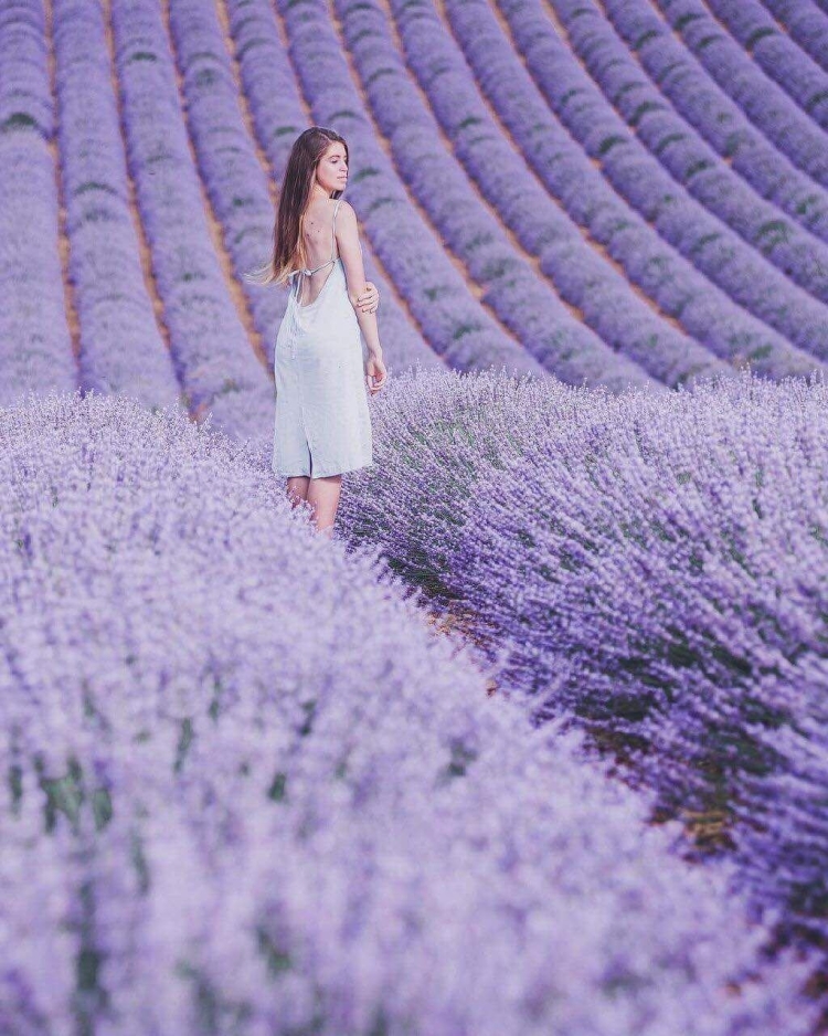 Фотосессия в лавандовом цвете