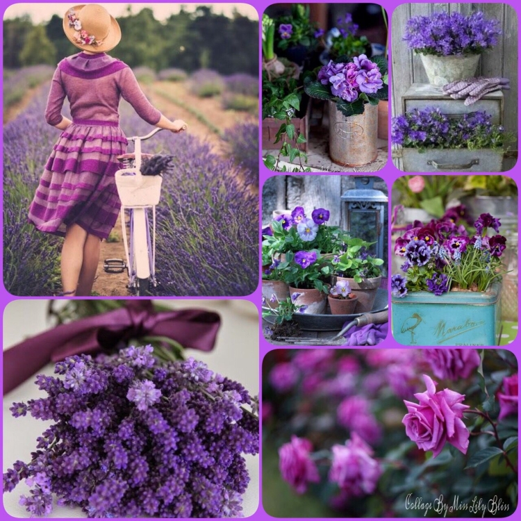 Мудборд Лаванда