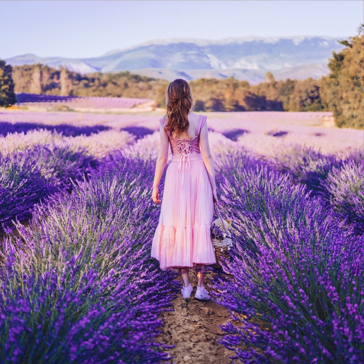 Семигорье Лавандовые поля