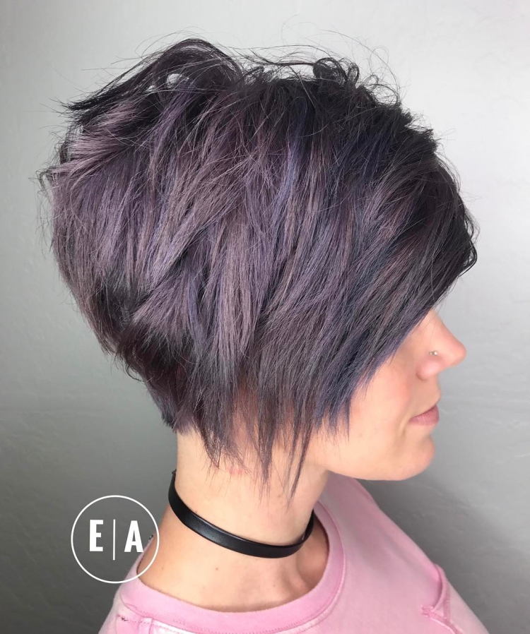 Pixi Bob каре с коротким макушкой