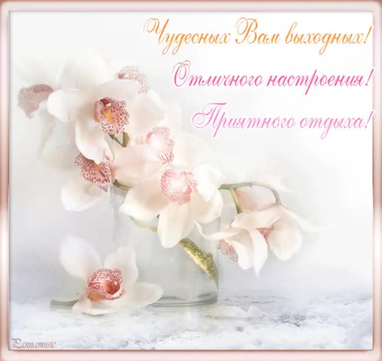 Открытка с пожеланиями нежная