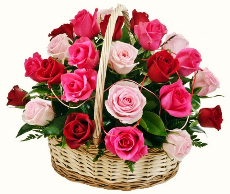 Счастья радости здоровья