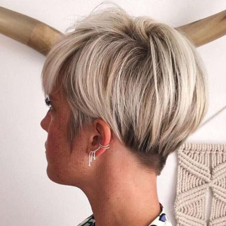 Пикси Боб с мелированием