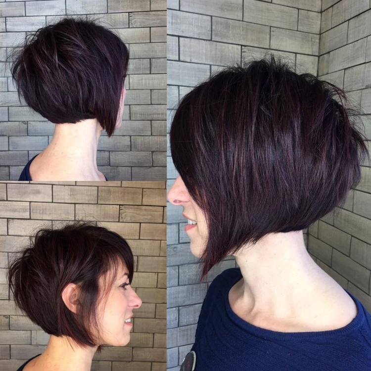 Каре-Боб Пикси с удлиненными