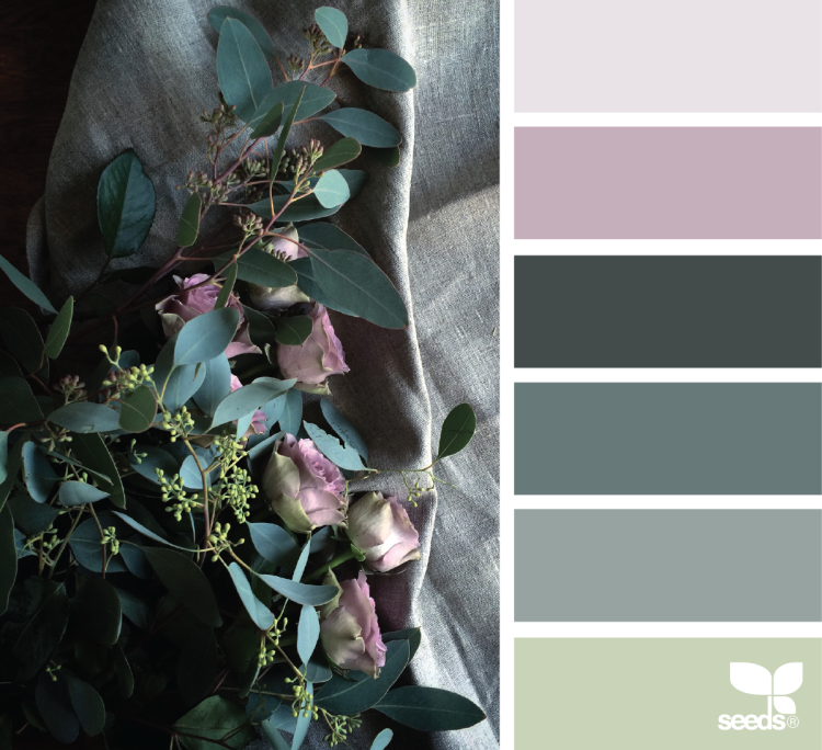 Палитра шалфей селадон олива