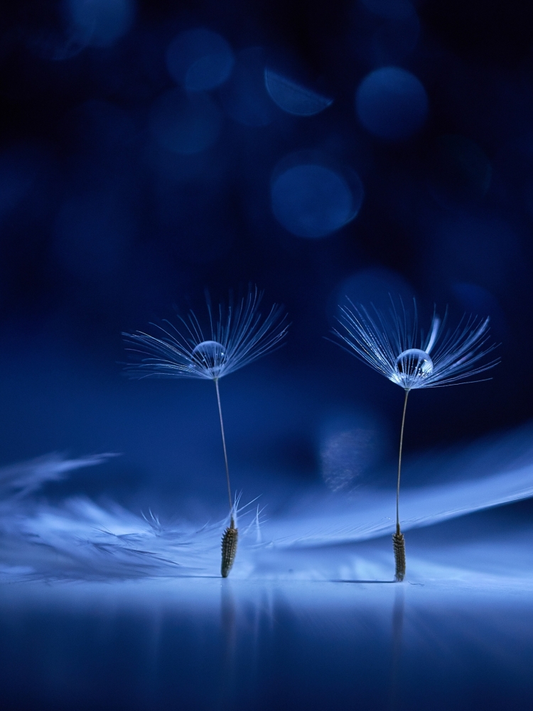 Спокойной ночи красивые необычные