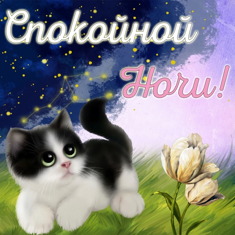 Открытки спокойной ночи