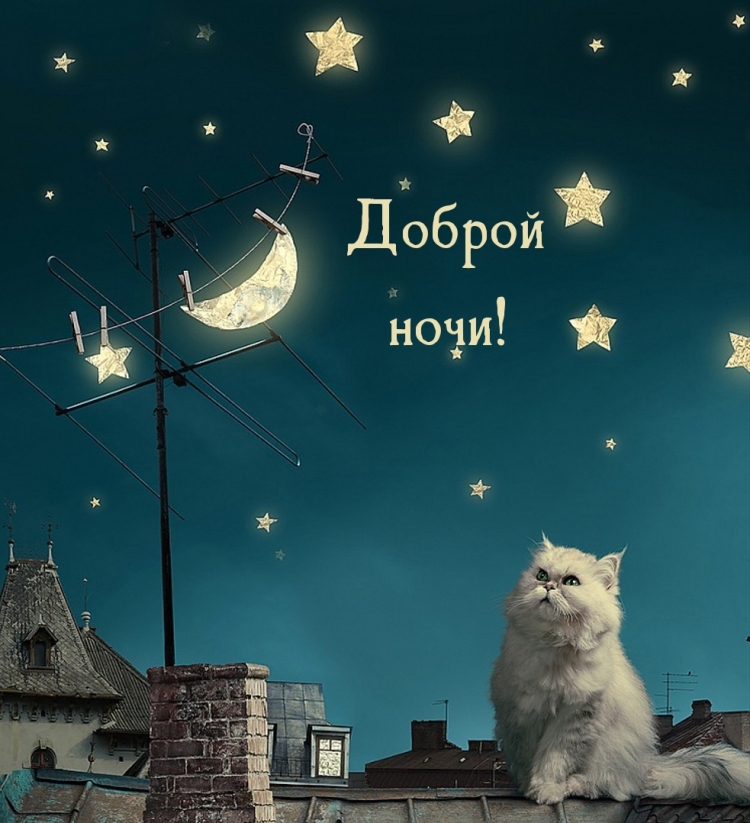 Доброй ночи картинки красивые необычные нежные