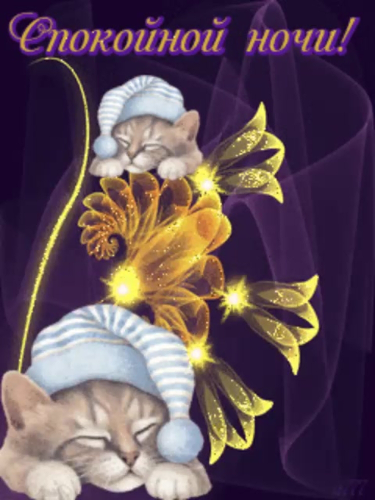 Доброй ночи спокойного сна