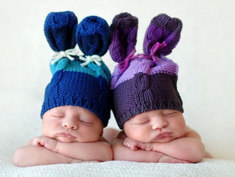 С рождением малышей двойняшек