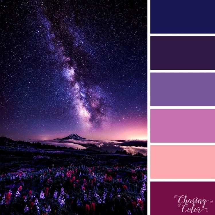 Фиолетовая палитра