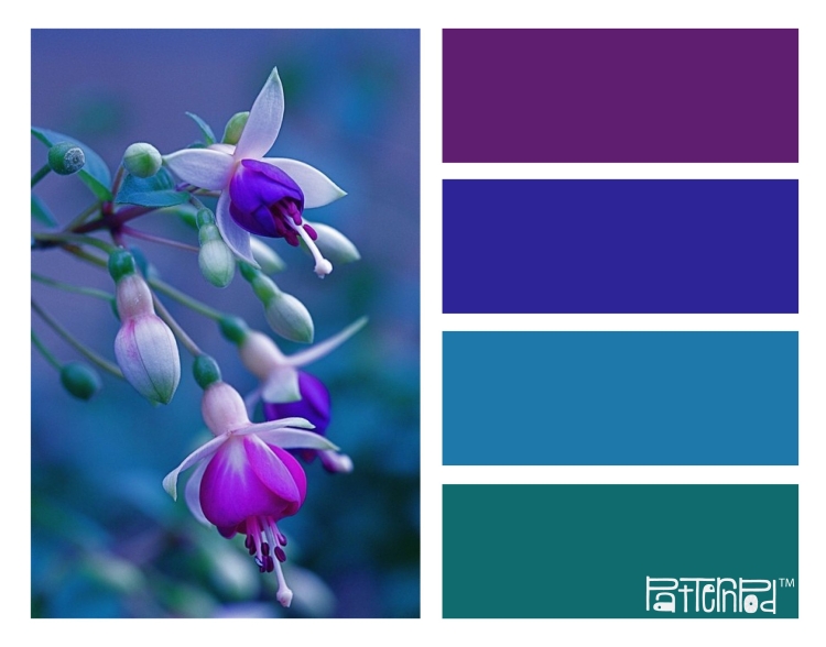 Сочетания цветов голубой сиреневый