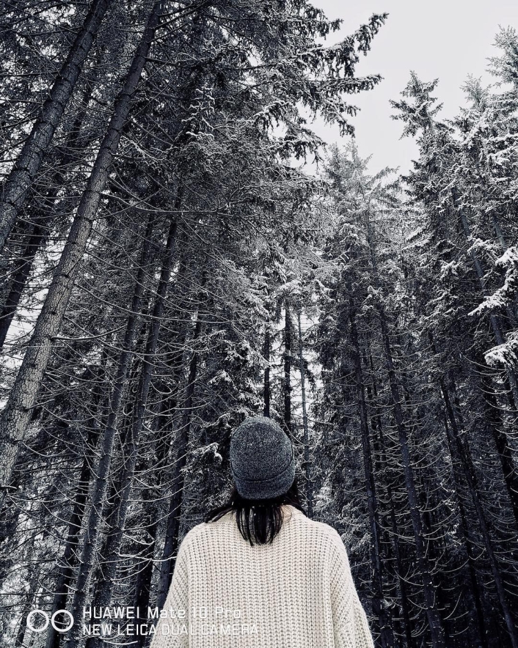 Эстетика зимы человек