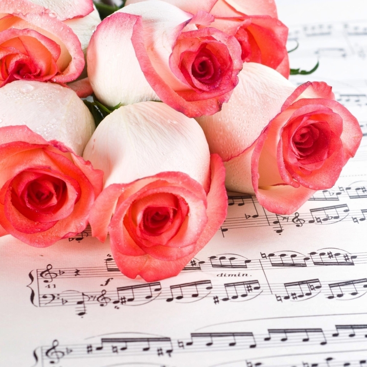 Музыкальный цветок