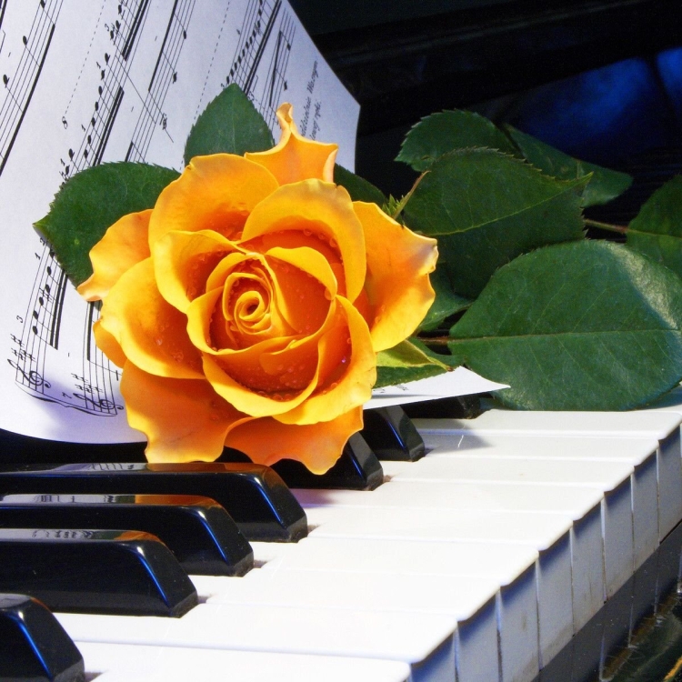 Рояль цветы