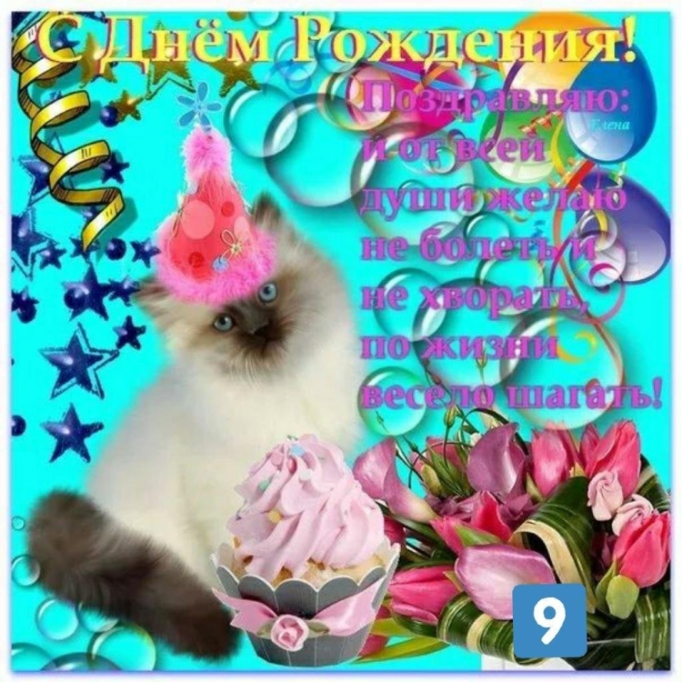 Открытки с днём рождения в вайбере бесплатно
