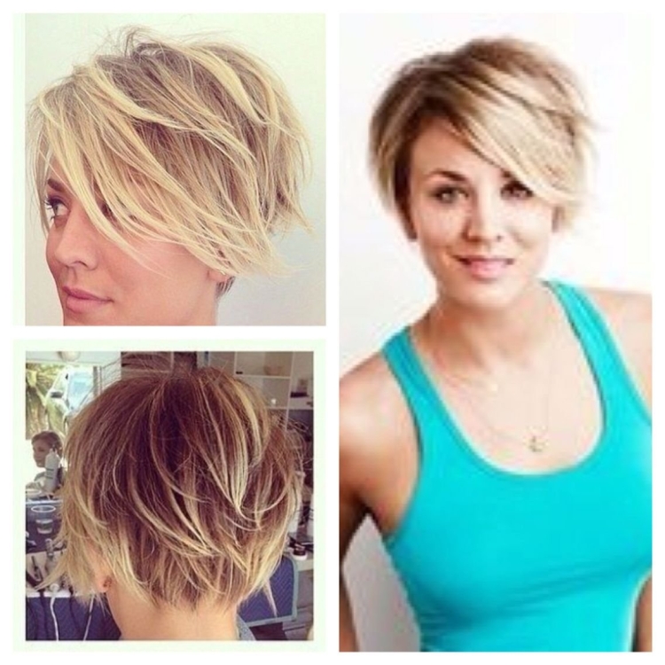 Пикси Боб для полного лица