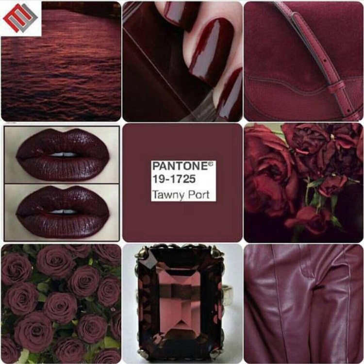 Цвет бордо пантон