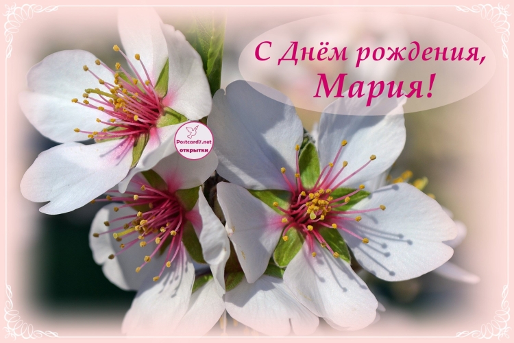 Открытки с днём рождения Мария