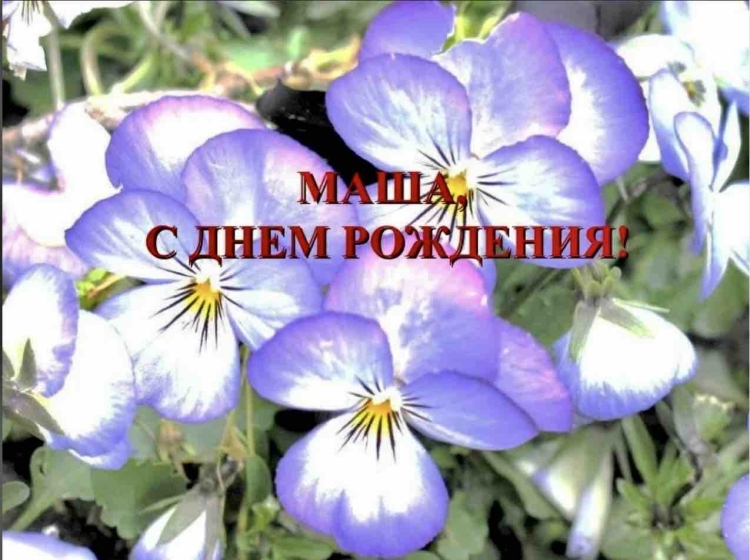 С днём рождения Маша