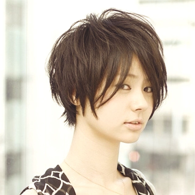 Pixie Bob стрижка Корея