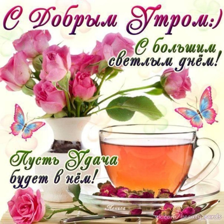Открытки с пожеланиями доброго утра и хорошего дня