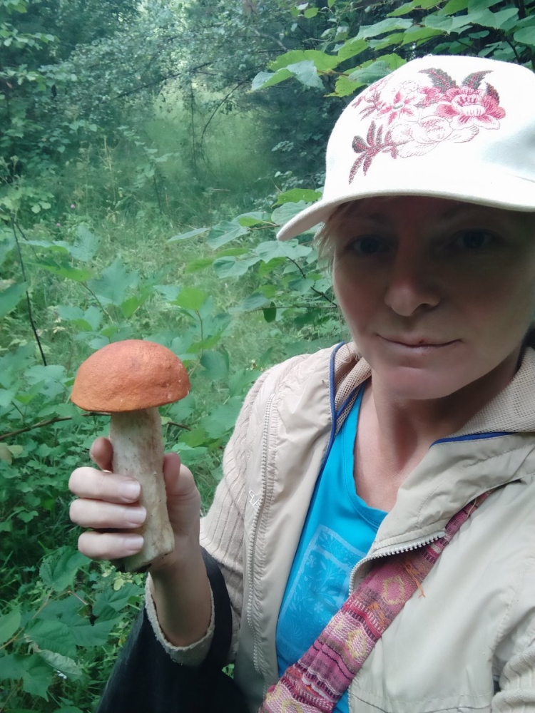 Прическа мухомор