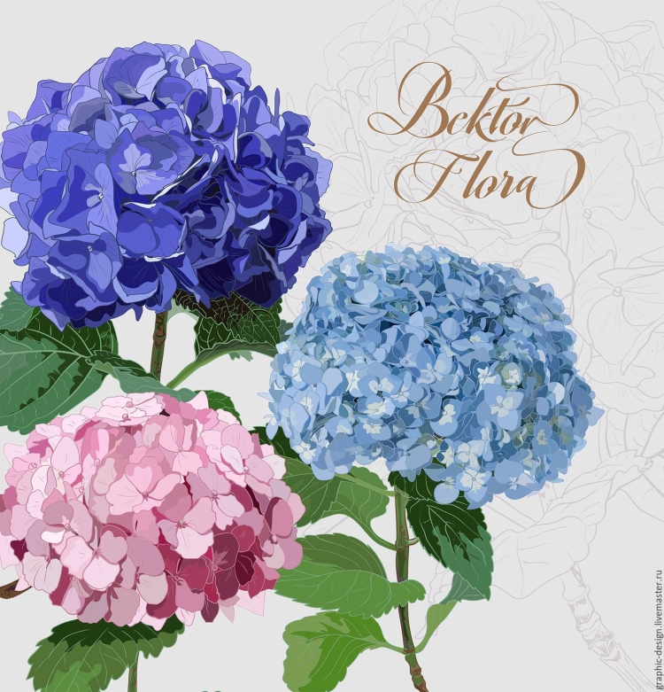 Гортензия Бриггс