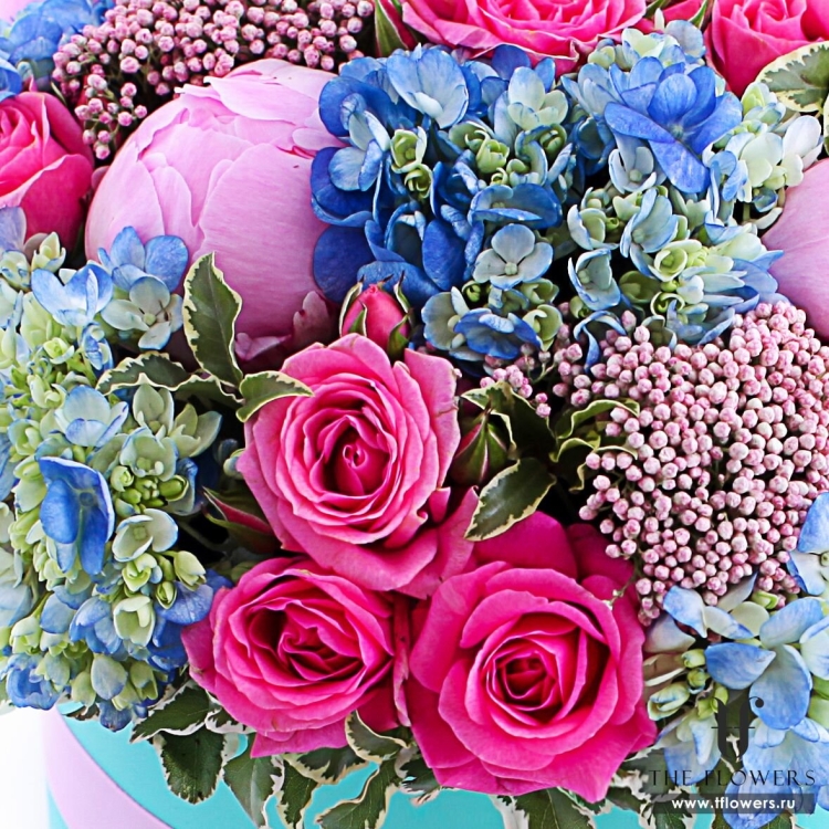 С днем рождения гортензии