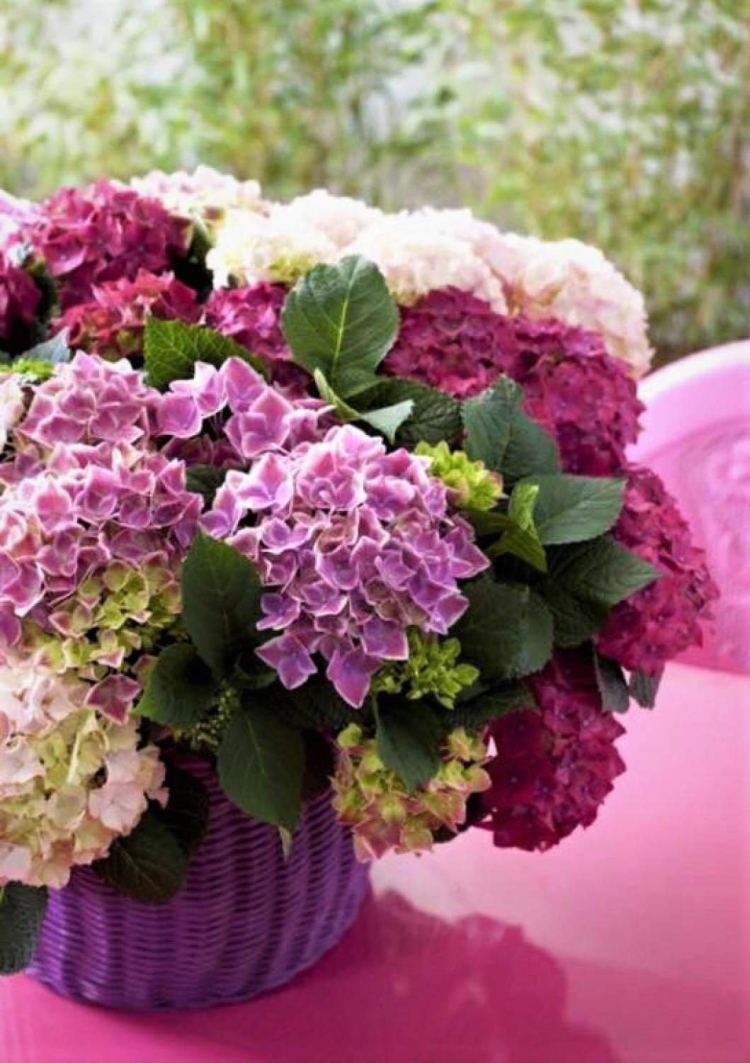 Цветок "гортензия"