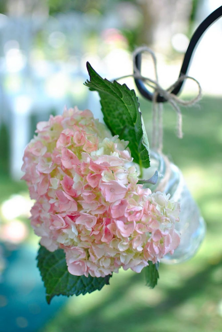 Гортензия бледно розовая