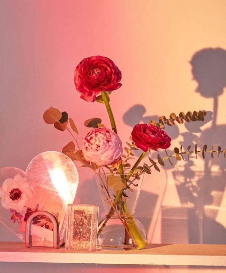 Эстетика красного и розового цвета