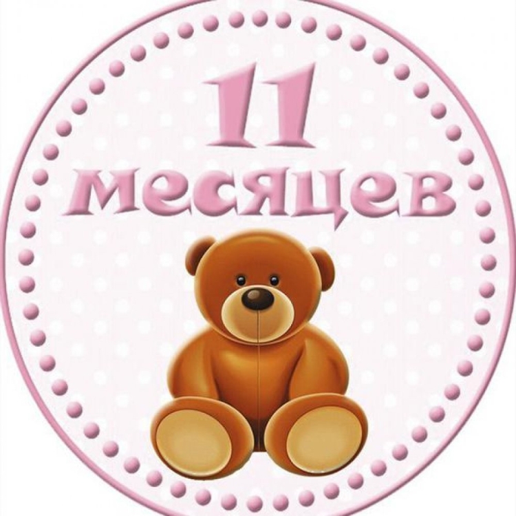 С 11 месяцами