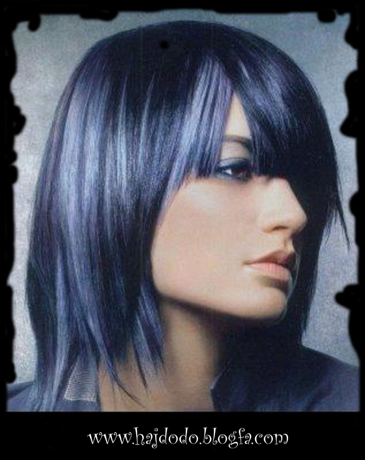 Иссиня черный с белыми прядями