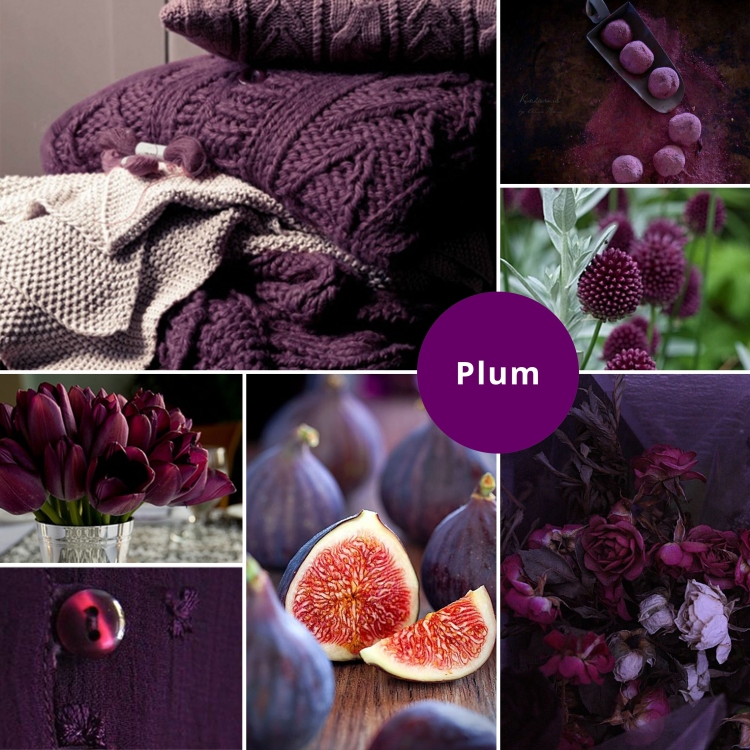 Сливово-бордовый цвет