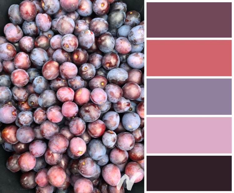 Цвет слива сочетание