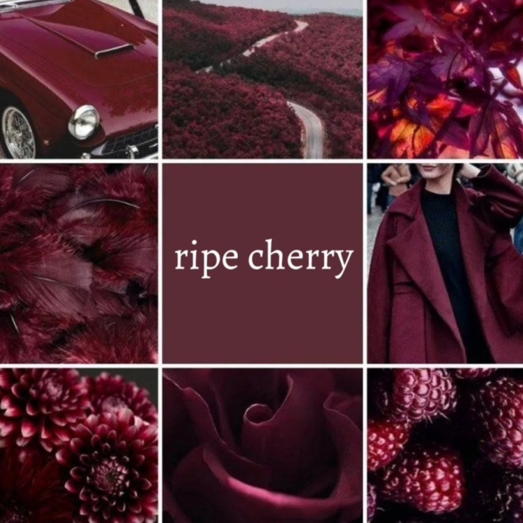 Цвета пантон Tawny Port