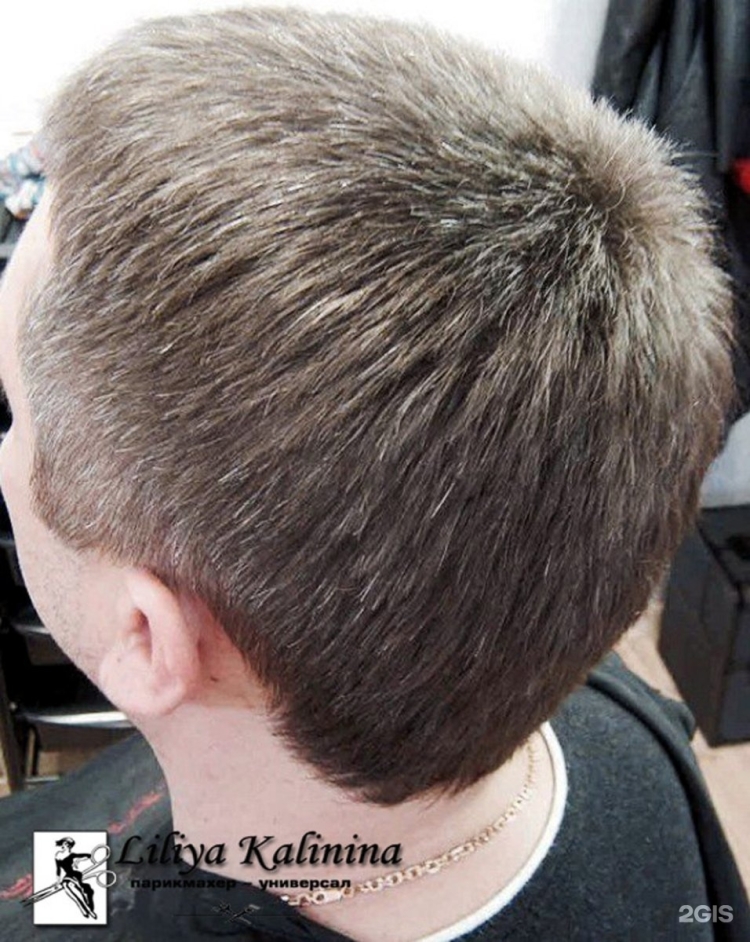 Мужские классические стрижки короткие сзади вид