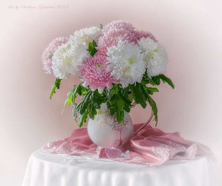 Фотонатюрморты Светланы Лебедевой